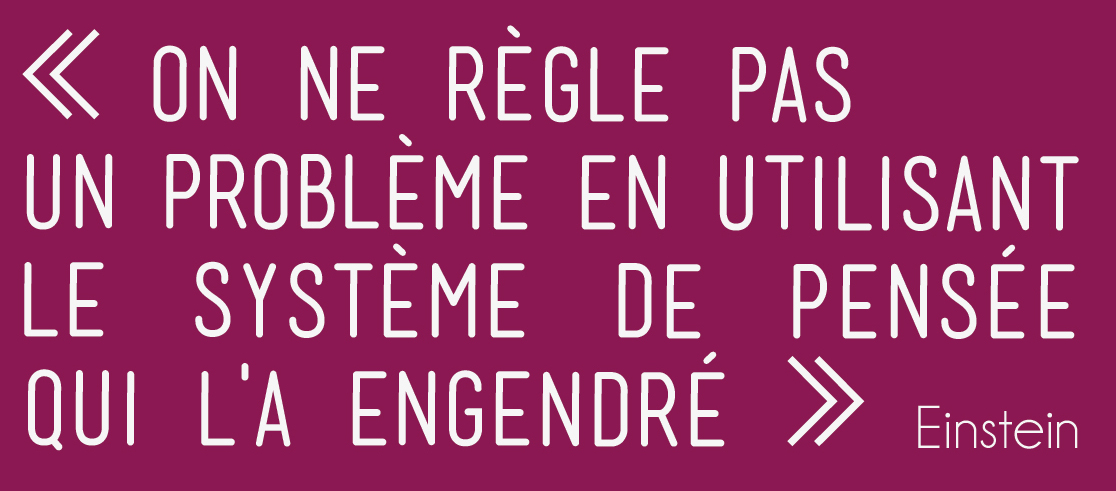 Autocollants Alternatiba_Einstein - Copie