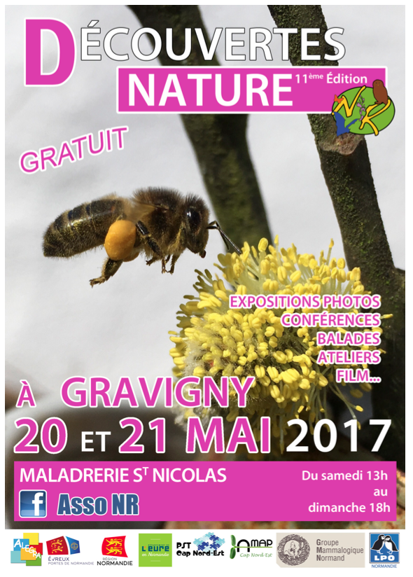 2017Affiche Gravigny